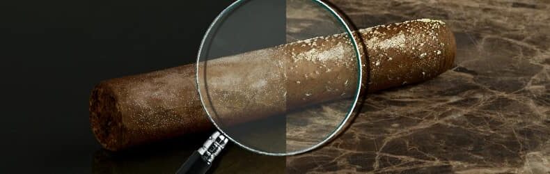The anatomy of a cigar